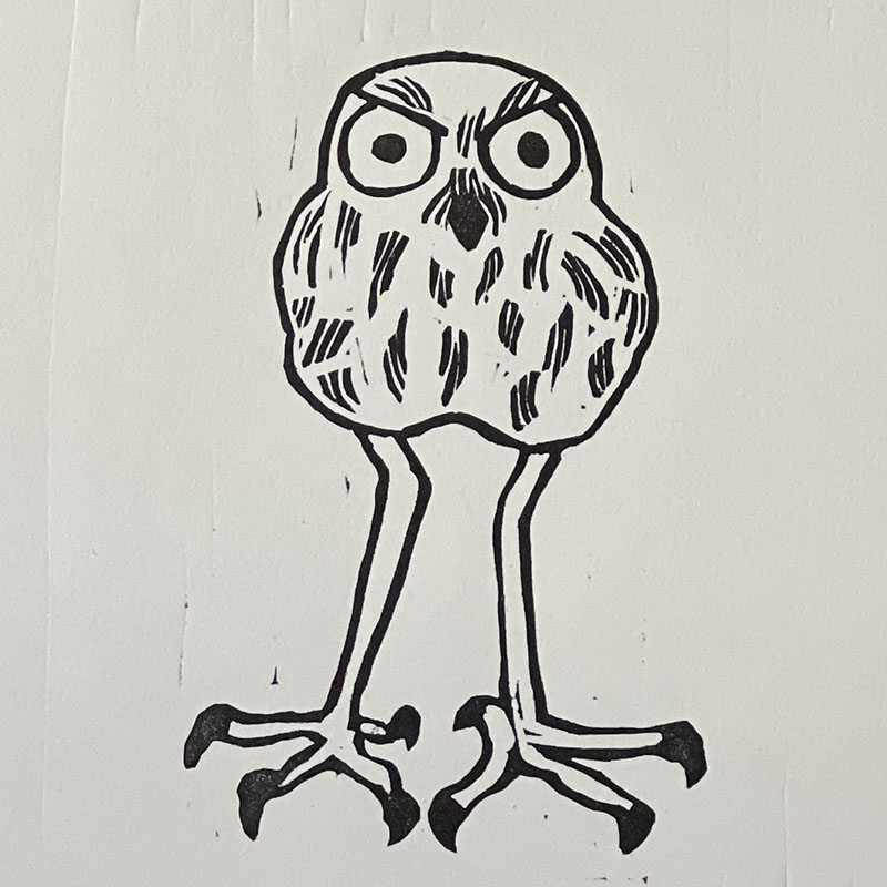 Burrowing Owl