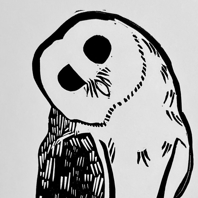 Barn Owl