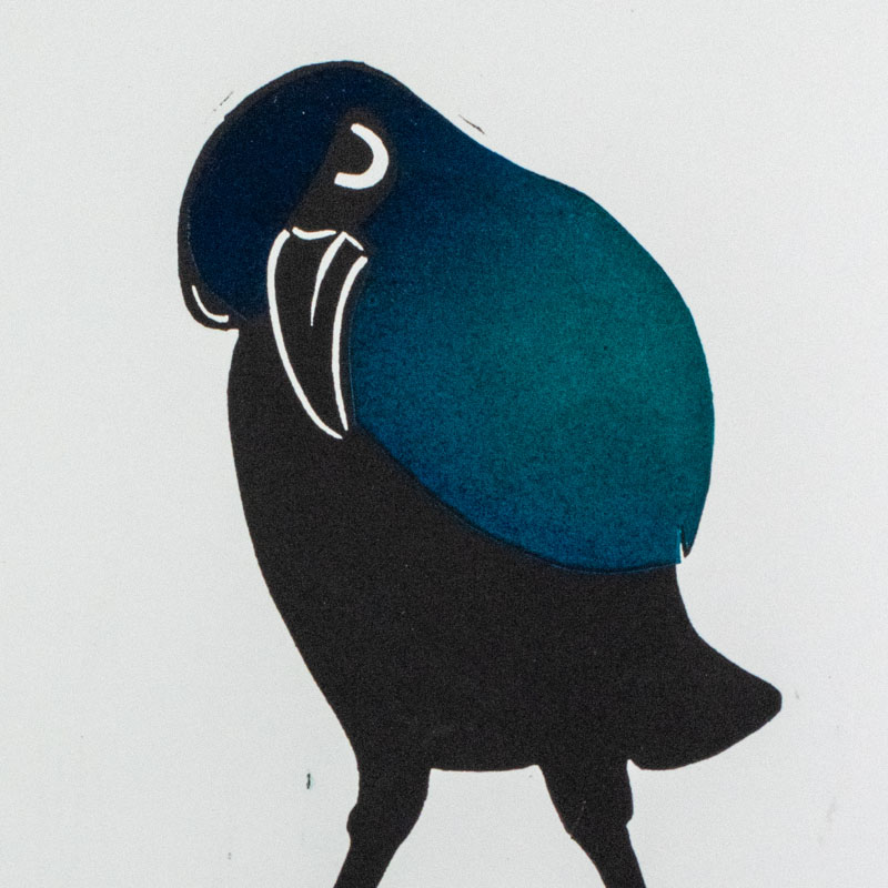 Common Grackle