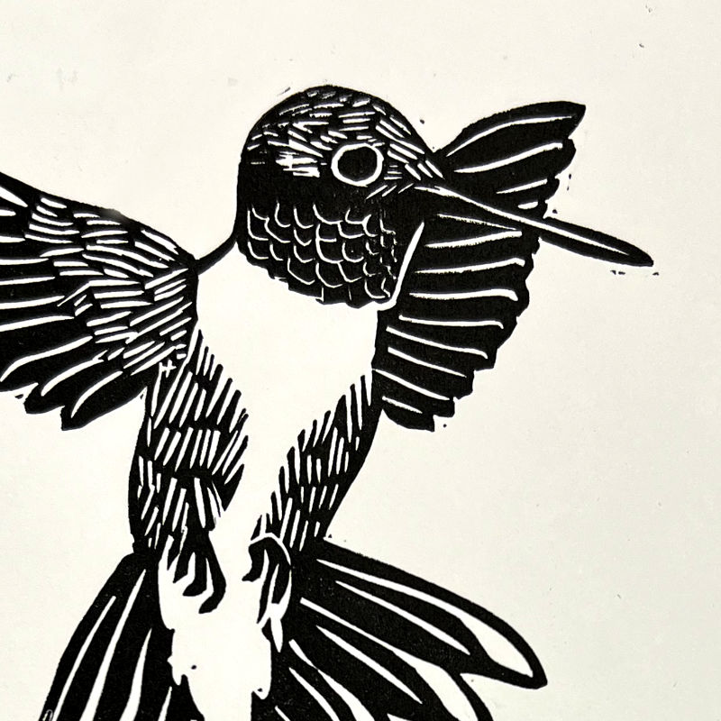Ruby-Throated Hummingbird